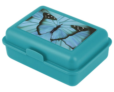 Lunch box Butterfly