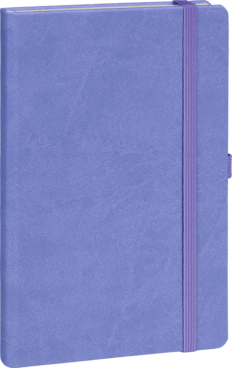 Notebook Lilac, dotted, 13 × 21 cm