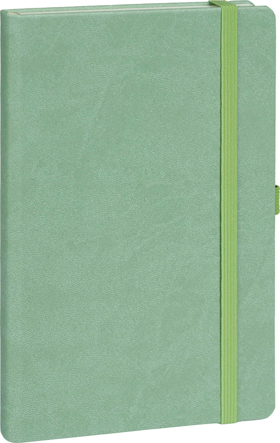 Notebook Green, lined, 13 × 21 cm