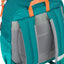 Backpack Buddy Fox