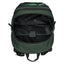 School backpack Skate Forest