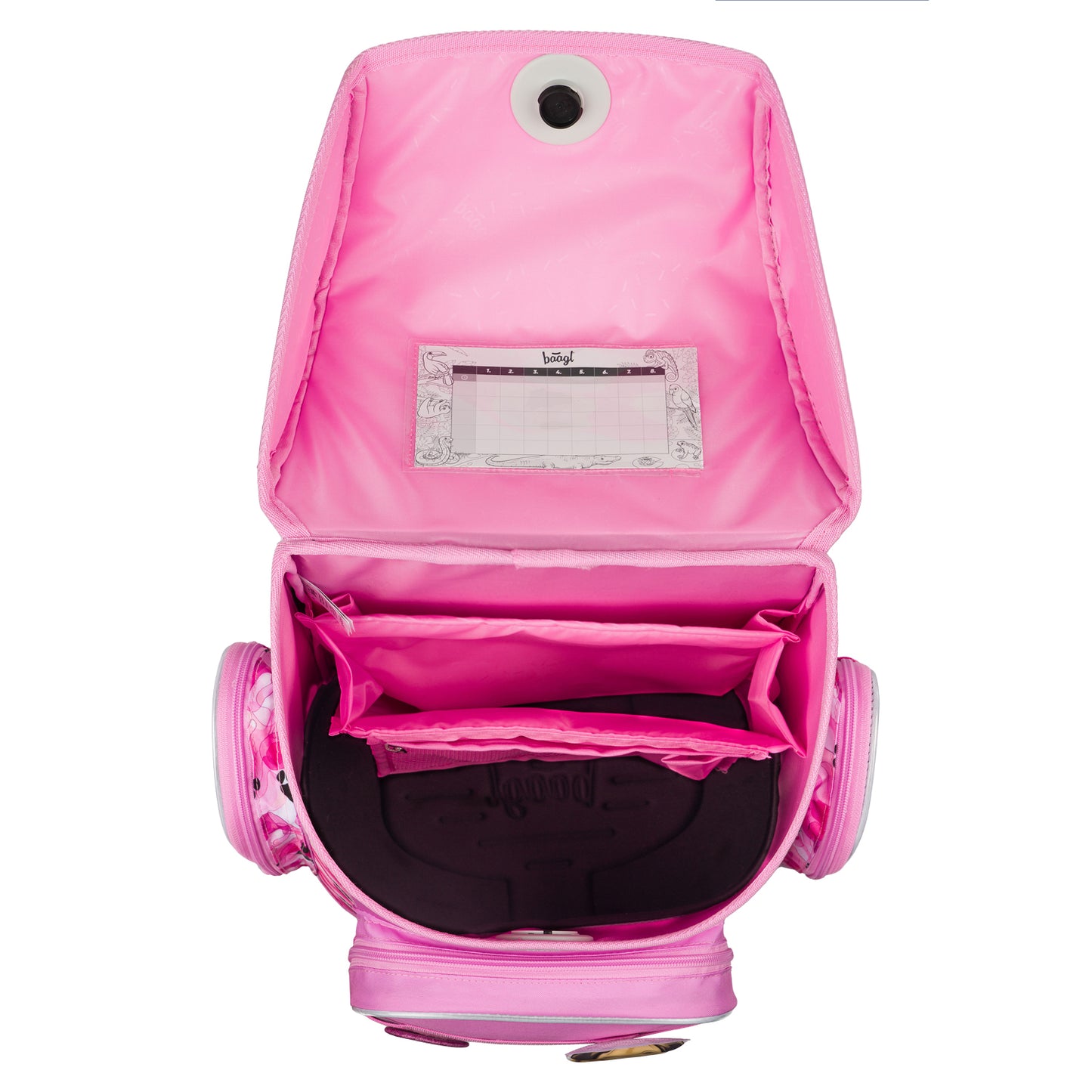 School set Ergo Paws II