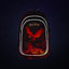 School set Core Harry Potter Phoenix