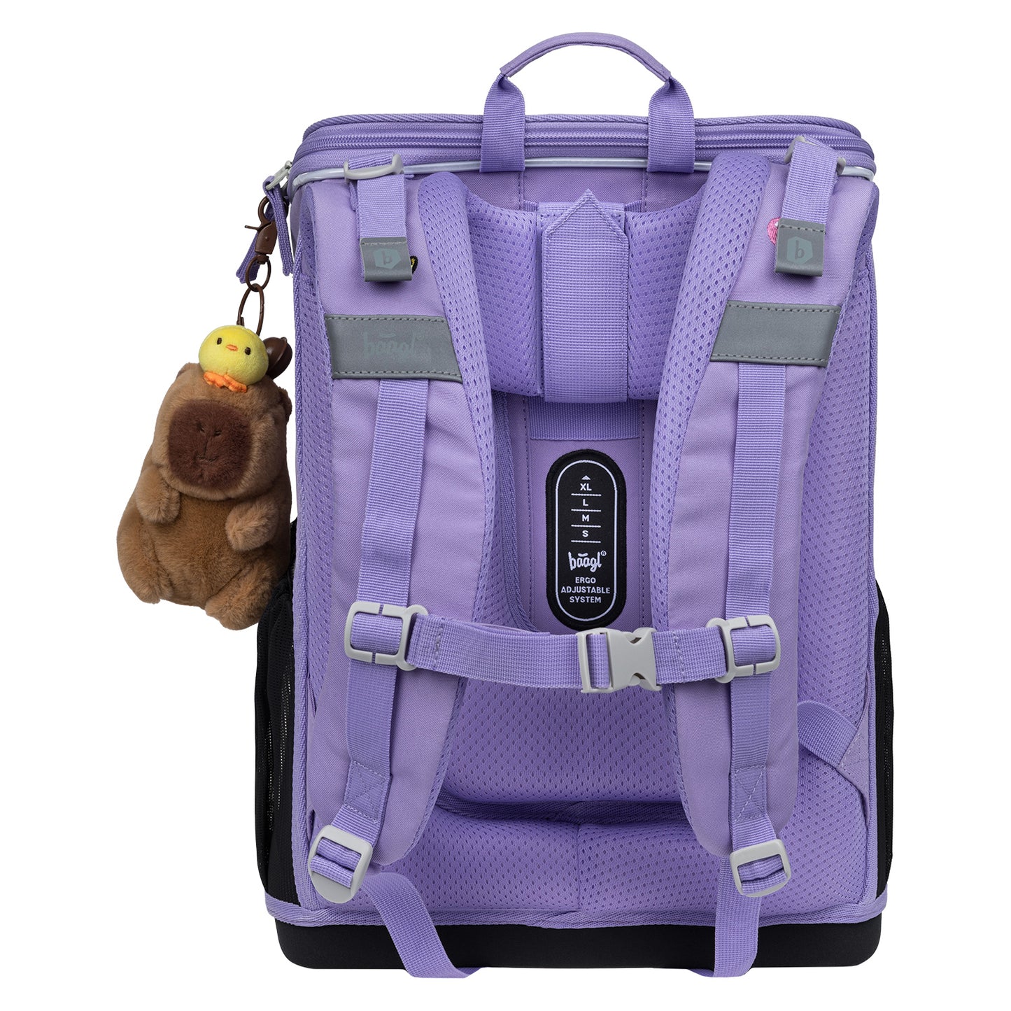 School set Zippy Capybara