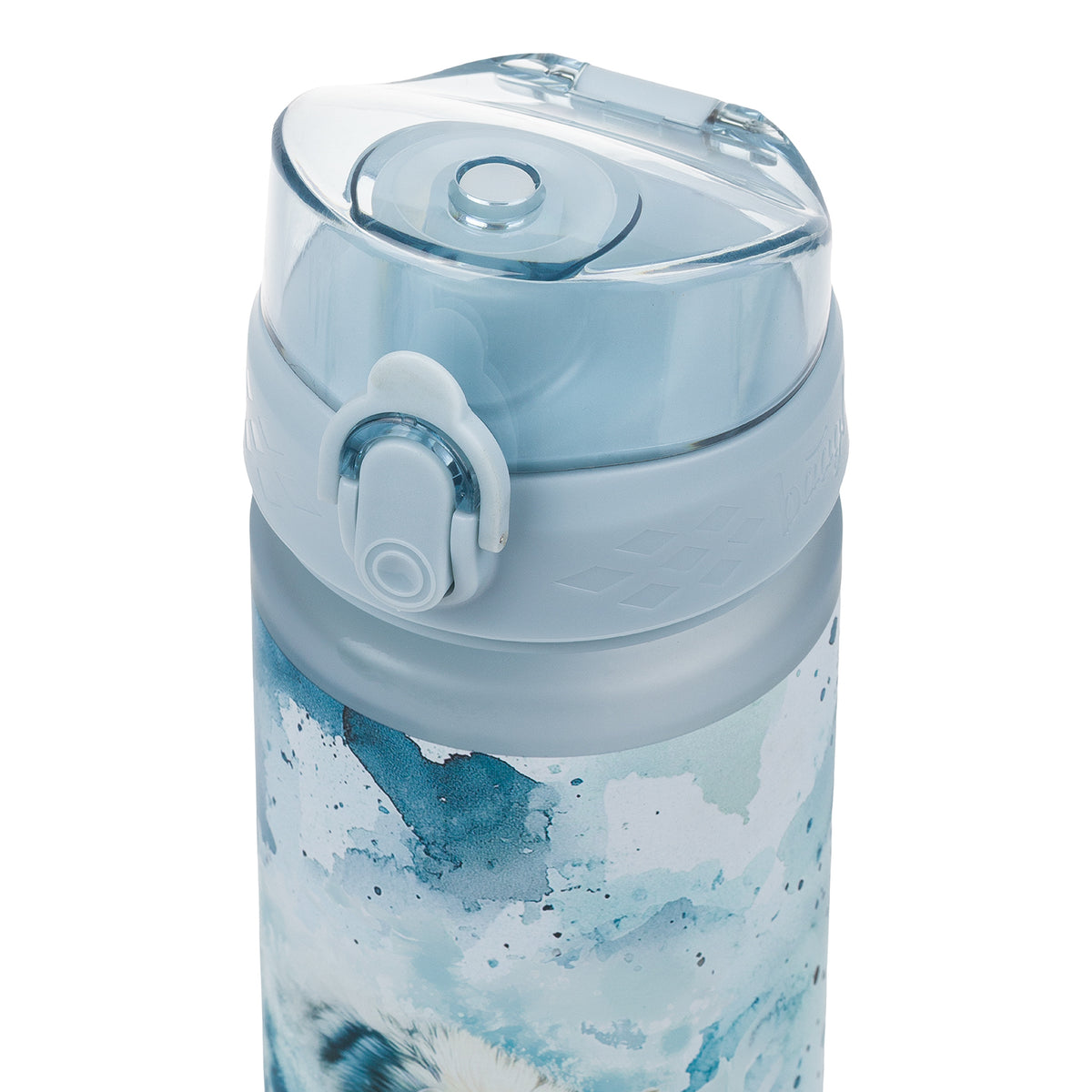 Tritan bottle Polar, 500 ml