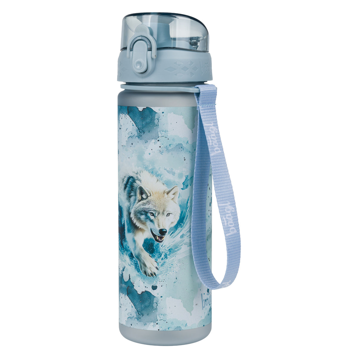 Tritan bottle Polar, 500 ml