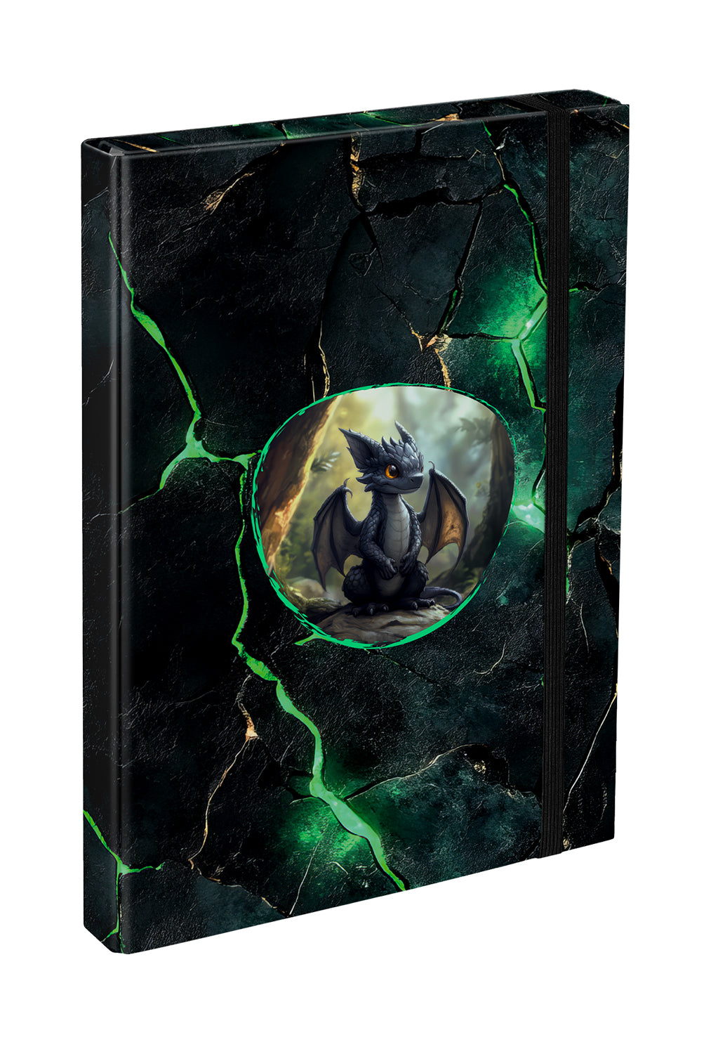 School file folder A4 Dragons