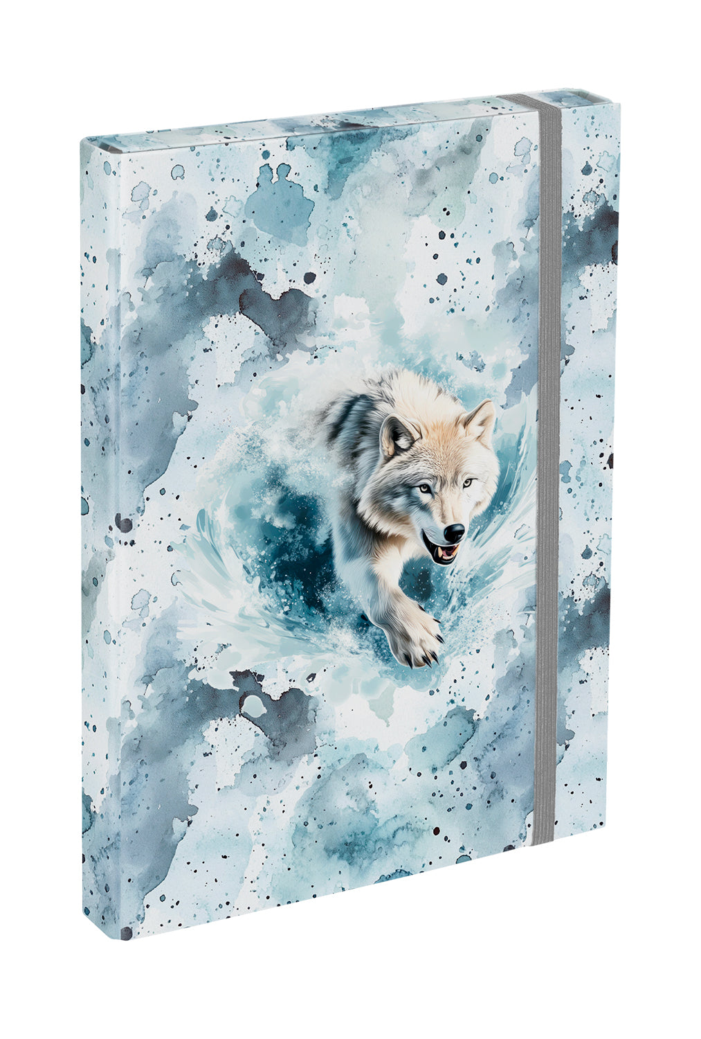 School file folder A4 Polar