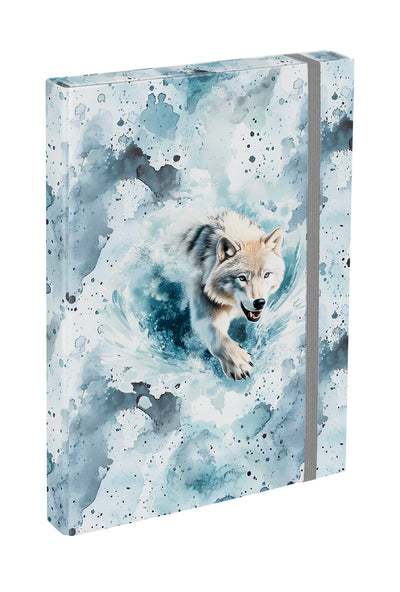 School file folder A4 Polar