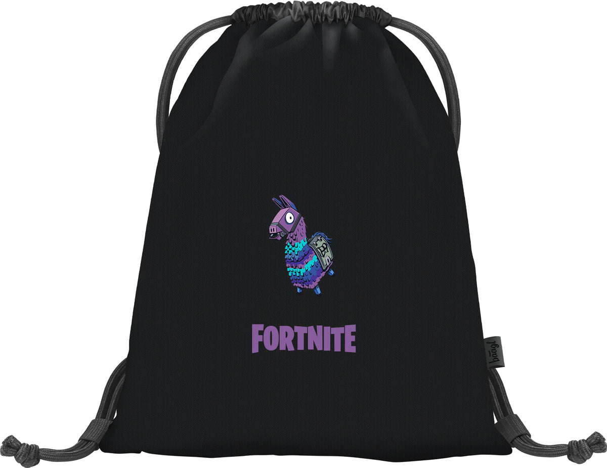 School set Core Fortnite Llama