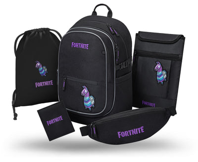 School set Core Fortnite Llama II