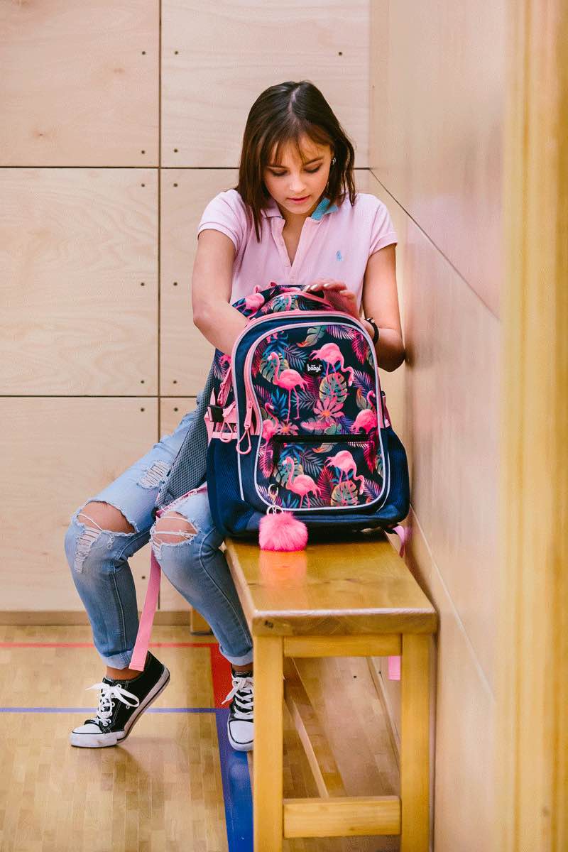 School backpack Core Flamingo