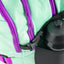 School backpack Skate Mint