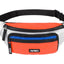 NASA Bum Bag
