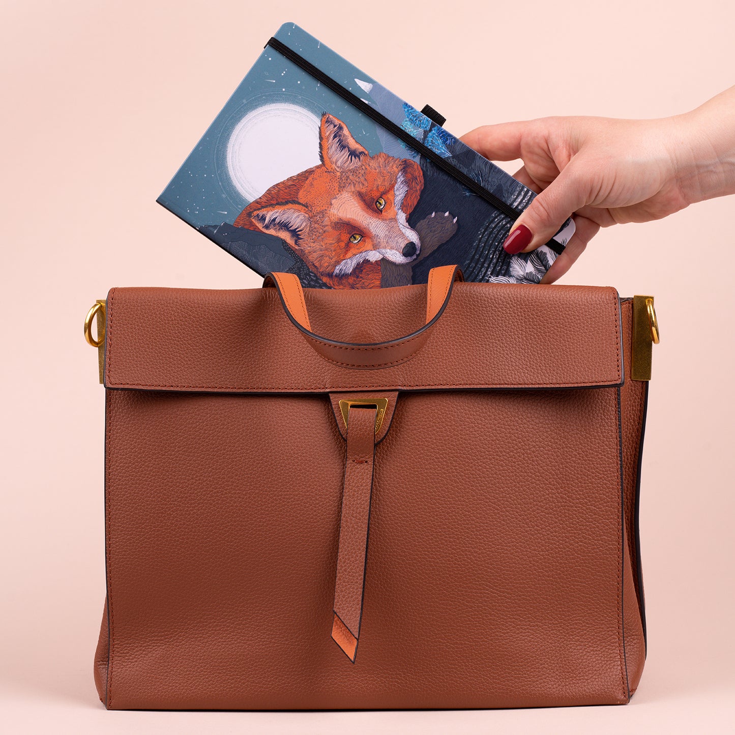 Notebook Animalium – Lucie Jenčíková, lined, 13 × 21 cm