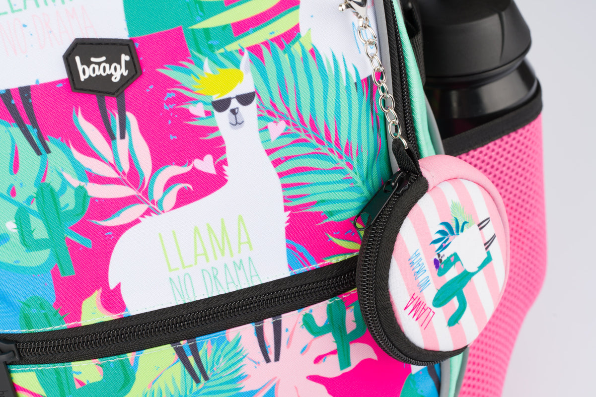 School set Core Llamas