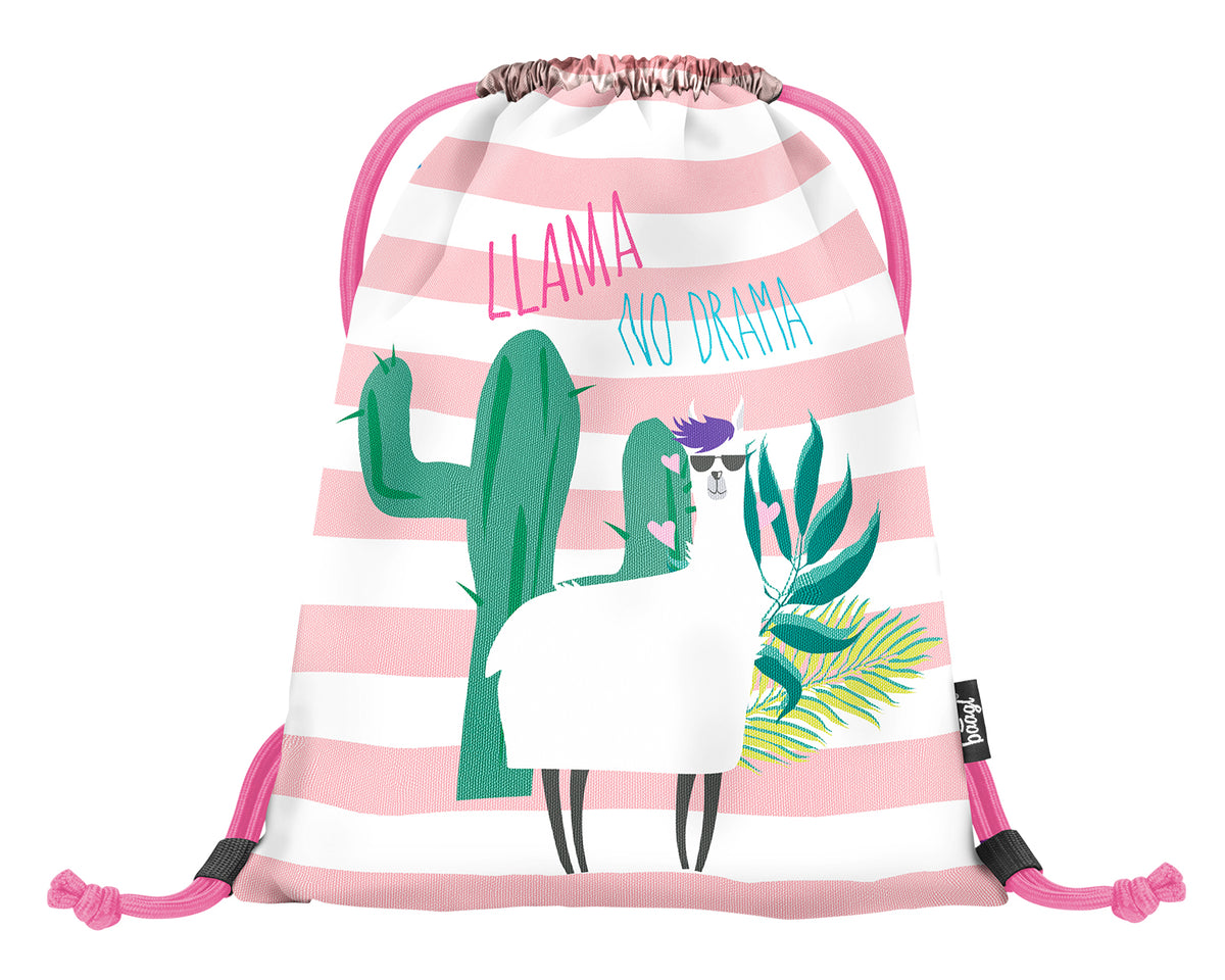School set Core Llamas