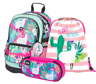School set Core Llamas