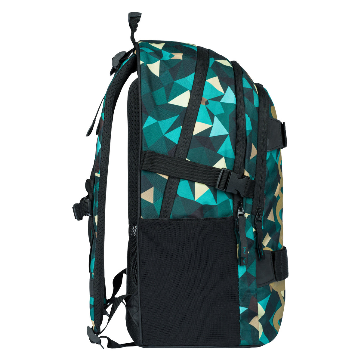 School backpack Skate Polygon