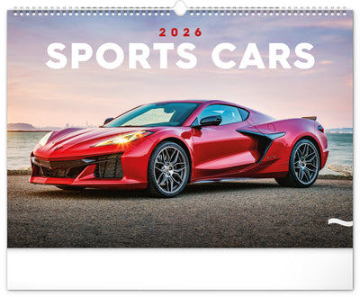 Wall calendar Cars 2026, 48 x 33 cm