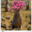 Wall calendar Trees 2026, 33 x 46 cm
