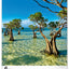 Wall calendar Trees 2026, 33 x 46 cm