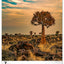 Wall calendar Trees 2026, 33 x 46 cm