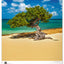 Wall calendar Trees 2026, 33 x 46 cm