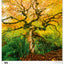 Wall calendar Trees 2026, 33 x 46 cm