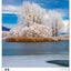 Wall calendar Trees 2026, 33 x 46 cm