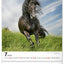 Wall calendar Horses 2026, 30 x 34 cm