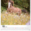 Wall calendar Horses 2026, 30 x 34 cm