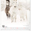 Wall calendar Horses 2026, 30 x 34 cm