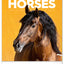 Wall calendar Horses 2026, 30 x 34 cm