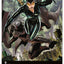 Wall calendar Batman Dark 2026, 33 x 46 cm