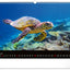 Wall calendar Ocean Wildlife 2026, 48 x 33 cm