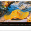 Wall calendar Ocean Wildlife 2026, 48 x 33 cm