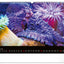Wall calendar Ocean Wildlife 2026, 48 x 33 cm