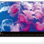 Wall calendar Ocean Wildlife 2026, 48 x 33 cm