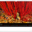 Wall calendar Ocean Wildlife 2026, 48 x 33 cm