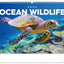 Wall calendar Ocean Wildlife 2026, 48 x 33 cm