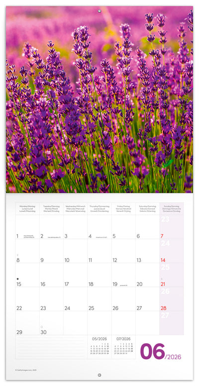 Grid calendar Provence 2026, 30 x 30 cm