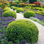 Grid calendar Gardens 2026, 30 x 30 cm