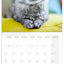 Grid calendar Cats 2026, 30 x 30 cm
