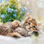 Grid calendar Kittens 2026, 30 x 30 cm