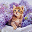 Grid calendar Kittens 2026, 30 x 30 cm