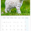 Grid calendar Kittens 2026, 30 x 30 cm