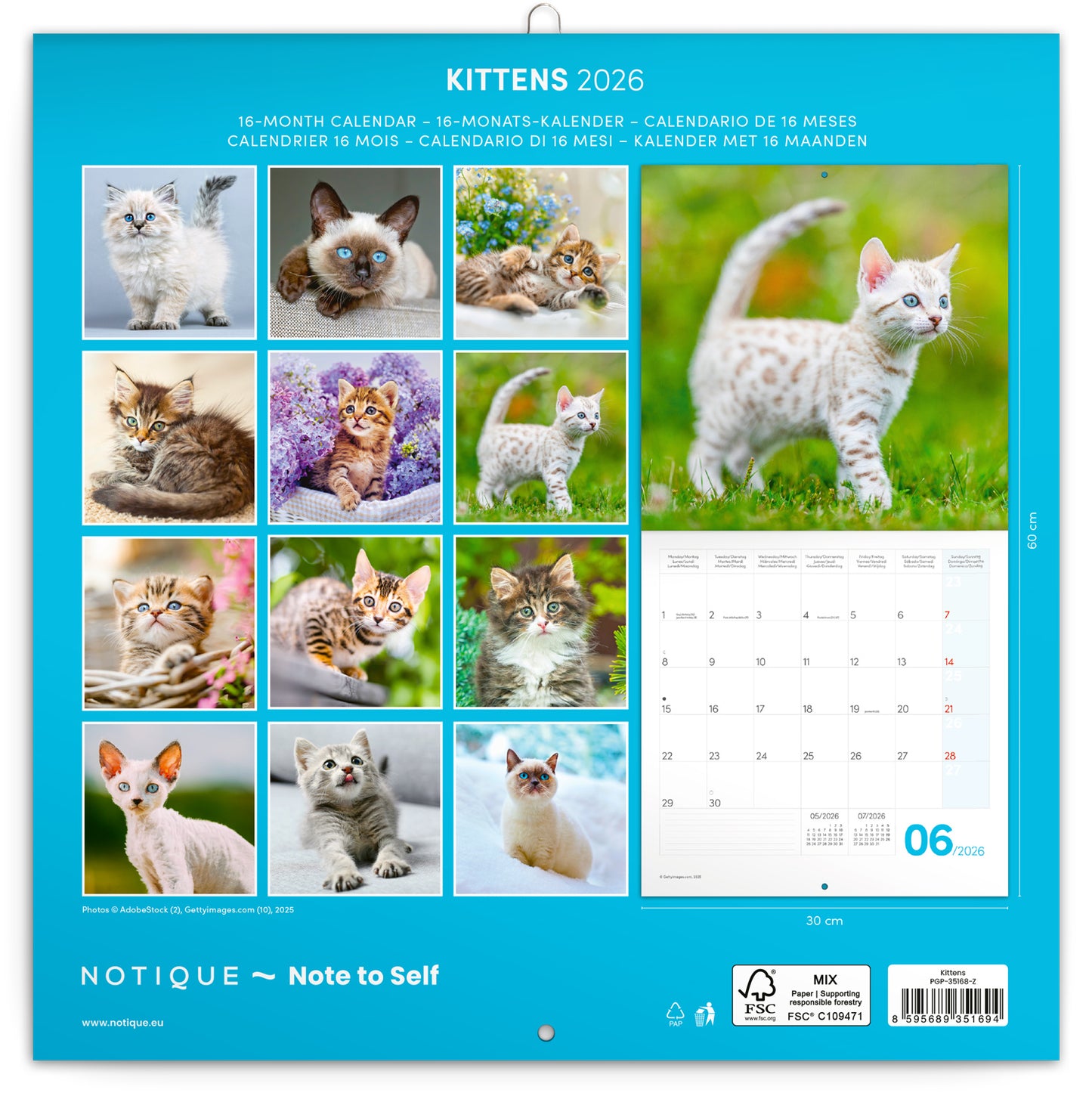 Grid calendar Kittens 2026, 30 x 30 cm