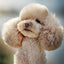 Grid calendar Dogs 2026, 30 x 30 cm