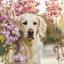 Grid calendar Dogs 2026, 30 x 30 cm